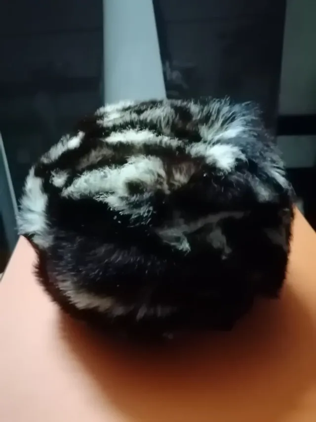 Basco vintage bianco e nero