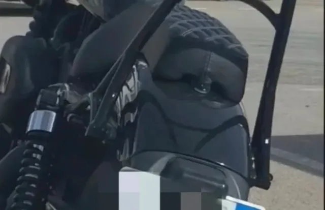 Intermitentes 3 en 1 Harley Davidson Sportster