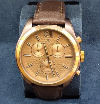 Reloj Festina Dorado y Marrón