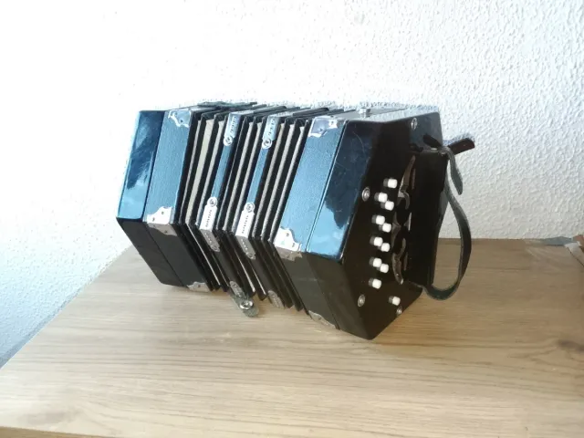 Concertina Acordeón Instrumento Musical