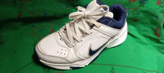 Zapatillas Nike Blancas y Azules