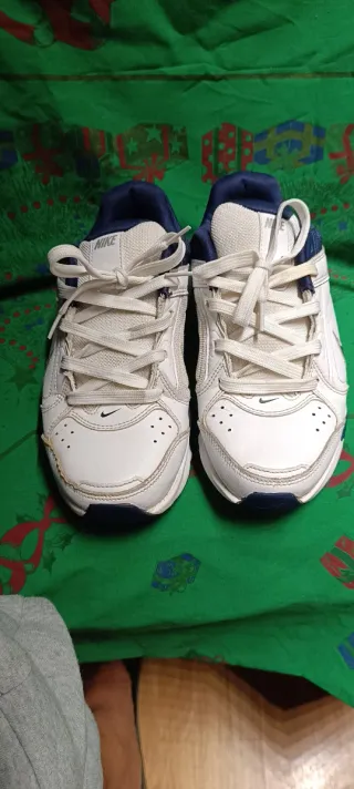 Zapatillas Nike Blancas y Azules