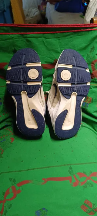 Zapatillas Nike Blancas y Azules