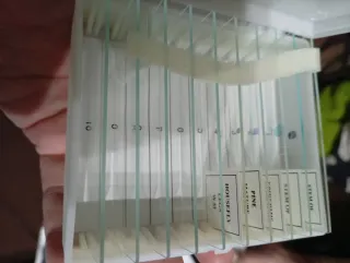 Microscopio Biolux NG con zoom de 40x a 1024x.