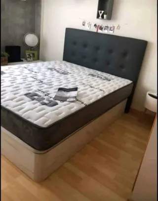 canapes canapes canapes canapes canapes