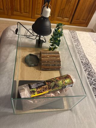 Kit terrario cristal 60x35x23