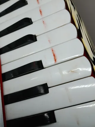 Acordeón Guerrini 12 Bajos