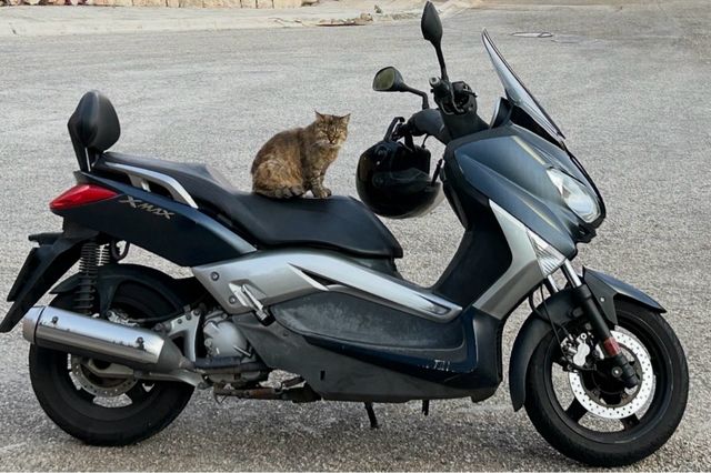 Yamaha X MAX 250cc 2011 Azul