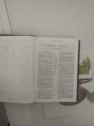 Biblia Ukraina