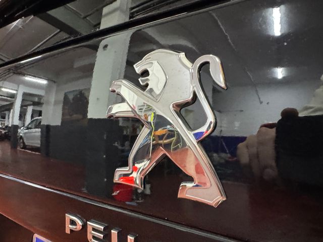 Peugeot Traveller 2017