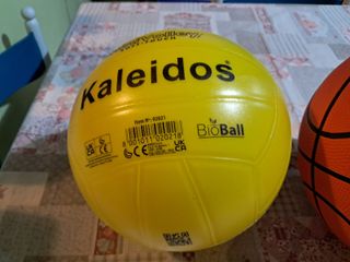 2 palloni: minibasket Legea n.5 e minivolley