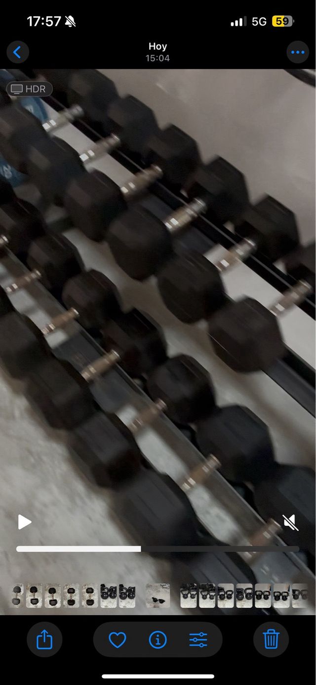 Kit Gimnasio Eleiko Mancuernas y Discos