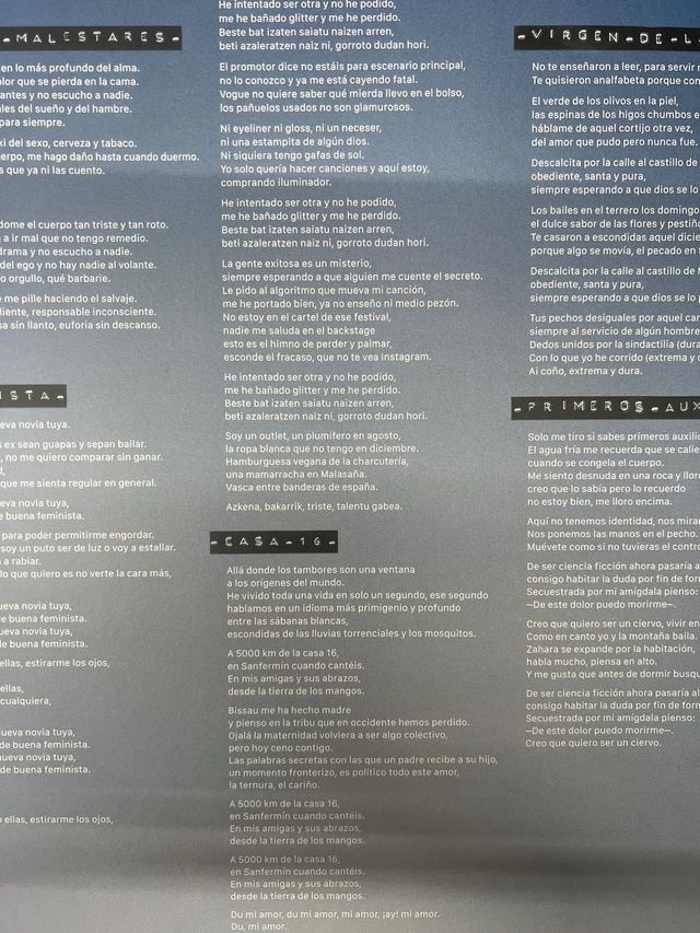 Vinilo Chica Sobresalto - Información Sísmica