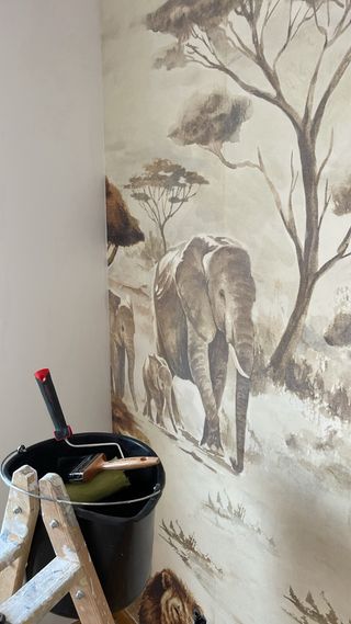 Pintura y papel pintado. Pintor valladolid