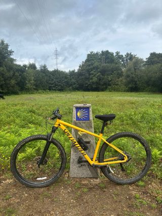 Specialized Rockhopper Comp 29