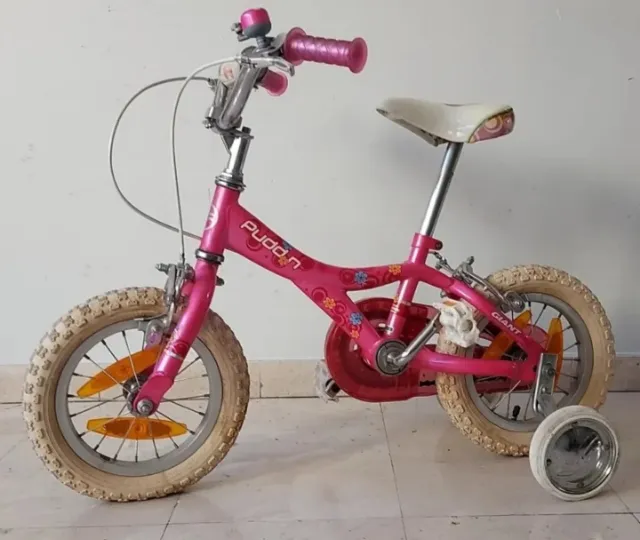 Bicicleta Infantil PUDDN 14 Rosa