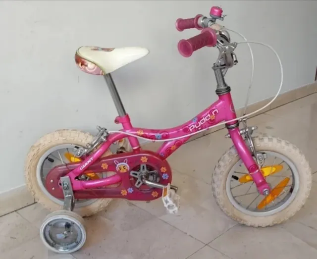 Bicicleta Infantil PUDDN 14 Rosa