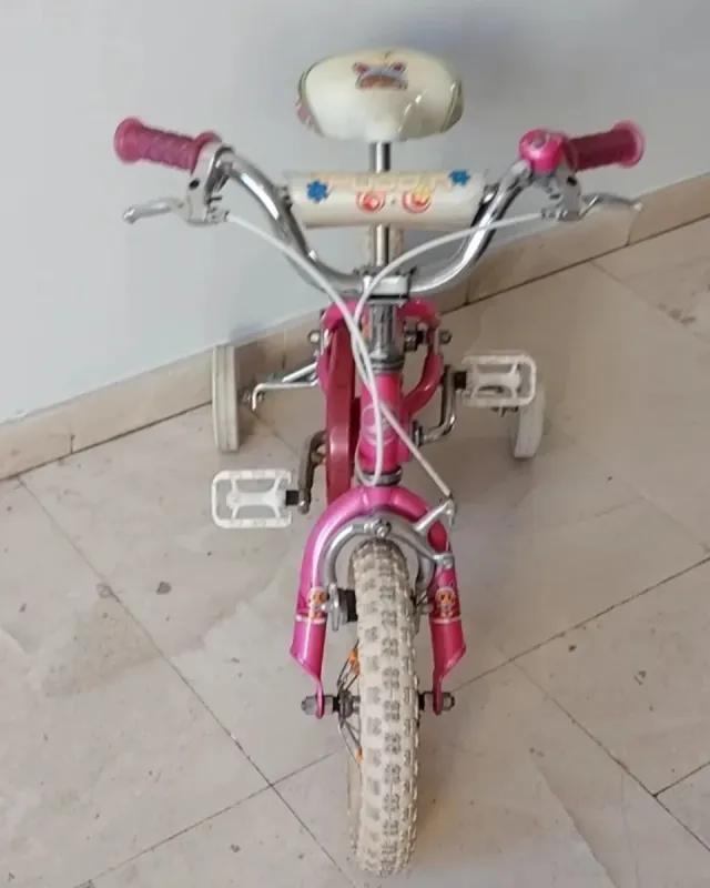 Bicicleta Infantil PUDDN 14 Rosa