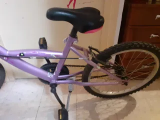 Bicicleta infantil morada