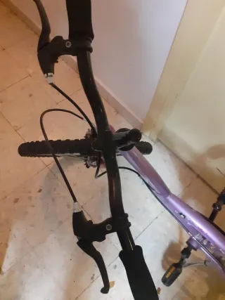 Bicicleta infantil morada