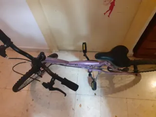 Bicicleta infantil morada