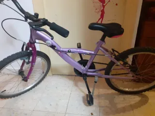 Bicicleta infantil morada