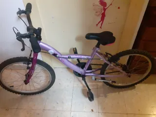 Bicicleta infantil morada