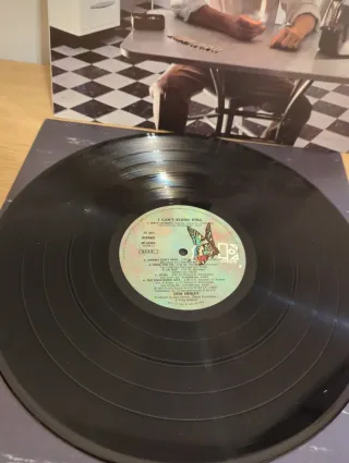 Don Henley - I Can't Stand Still LP 12 33 Giri