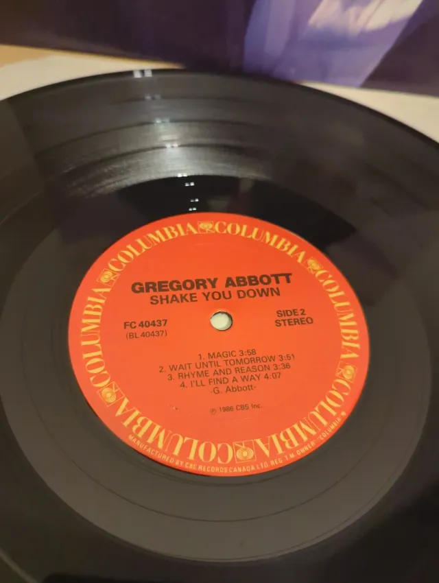 Gregory Abbott - Shake You Down LP 12 33