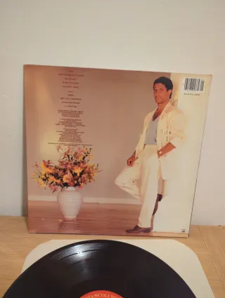 Gregory Abbott - Shake You Down LP 12 33