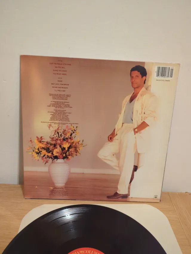 Gregory Abbott - Shake You Down LP 12 33