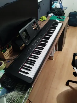 Teclado Eléctrico DP-882 88 Teclas