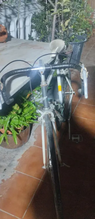 Bicicleta vintage