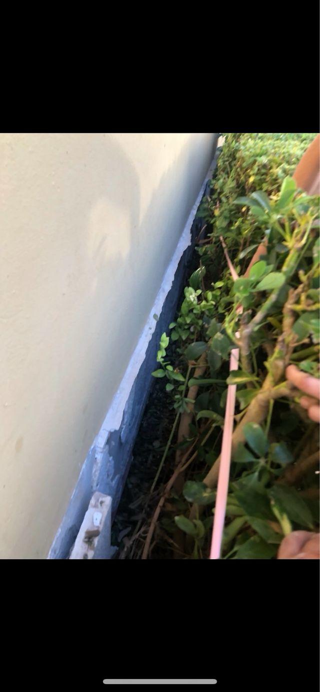 • ALBAÑIL Y REFORMAS • PINTOR PROFESIONAL