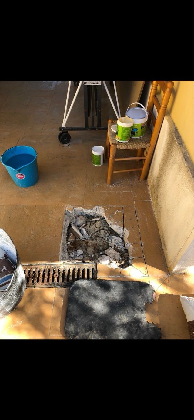 • ALBAÑIL Y REFORMAS • PINTOR PROFESIONAL