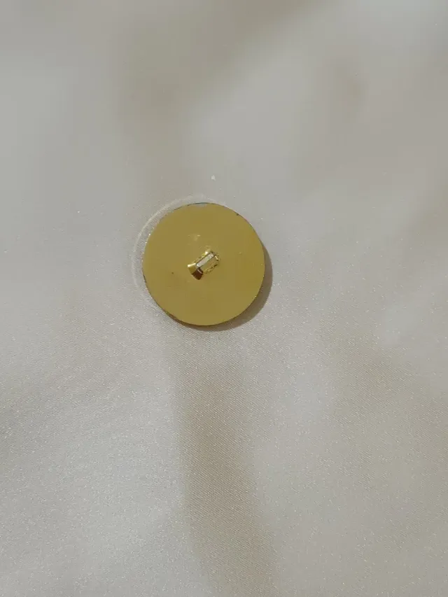 Set 10 bottoni blu scuro con bordo dorato