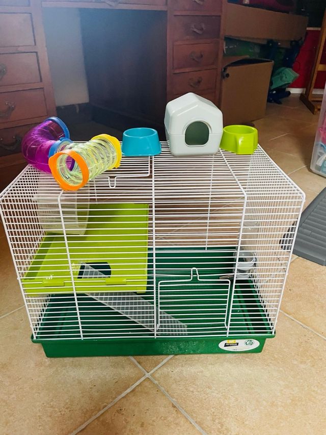 Gabbia per criceti con accessori