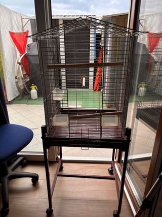 Gabbia per uccelli ben tenuta