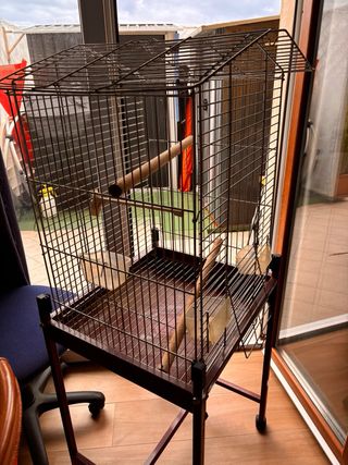 Gabbia per uccelli ben tenuta