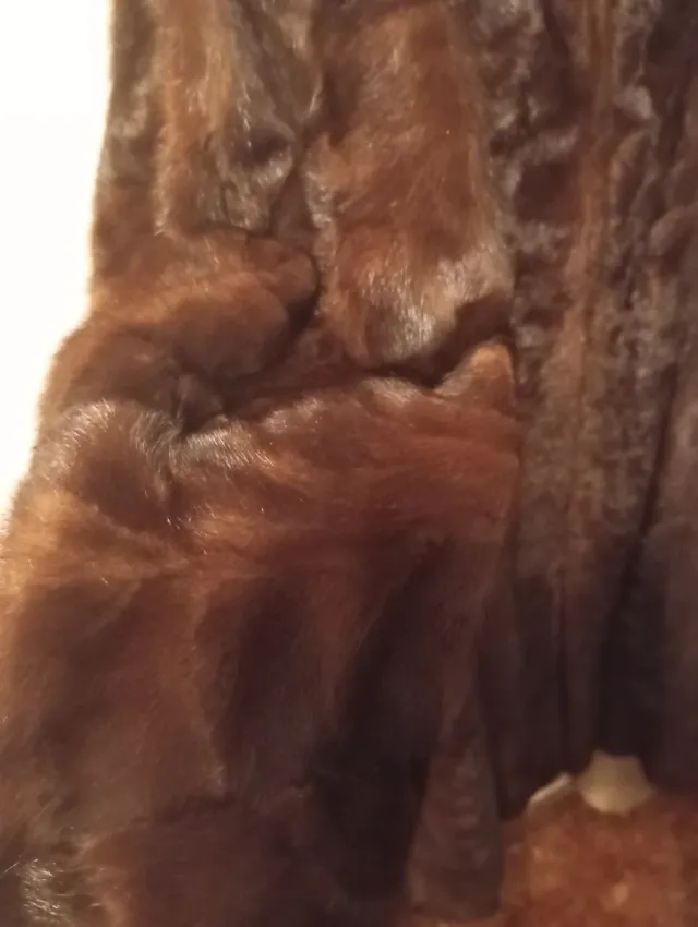 Abrigo de piel marrón