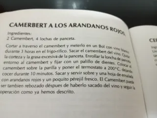 Horno Convección WSB - Aire Caliente