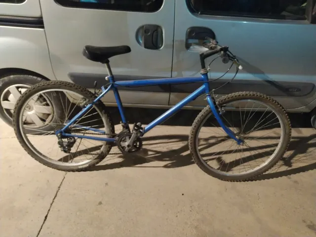 Bicicleta azul