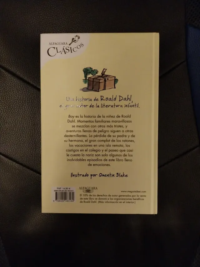 Boy (Colección Alfaguara Clásicos): Relatos de ...