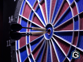 ALQUILER DIANA PROFESIONAL