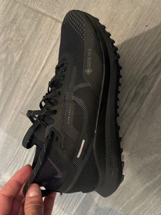 Nike Pegasus Trail 4 GORE-TEX Negro