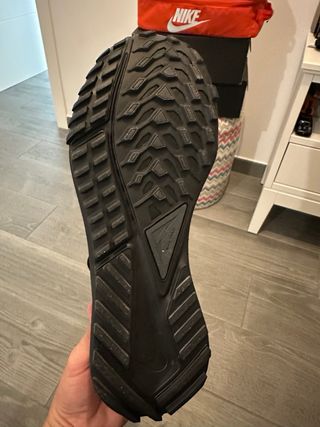 Nike Pegasus Trail 4 GORE-TEX Negro