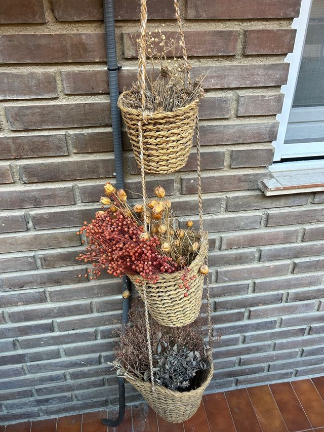 Vaso appeso con piante secche