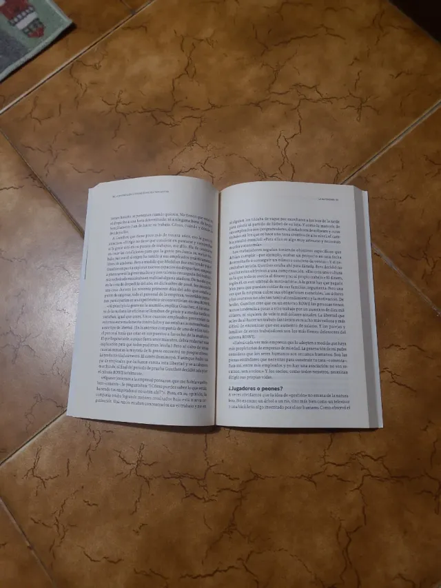 La sorprendente verdad sobre qué nos motiva