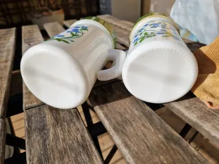 Coppia barattoli Arcopal france vintage