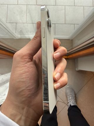 iPhone 12 Pro Max Grigio